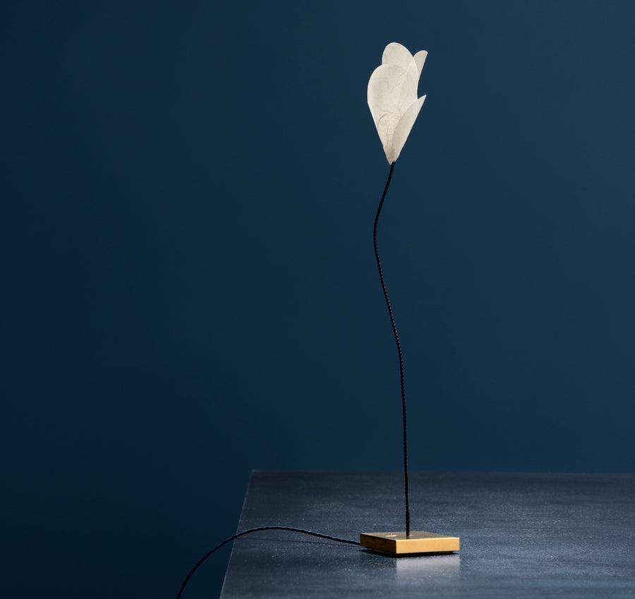 For You table lamp