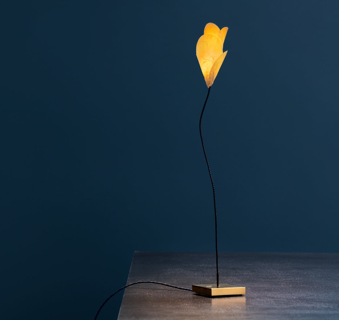For You table lamp