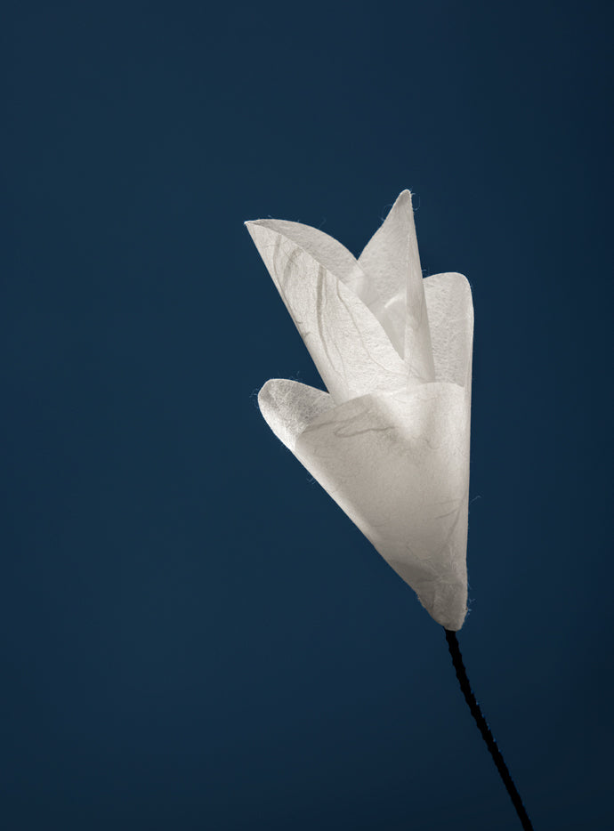 For You table lamp