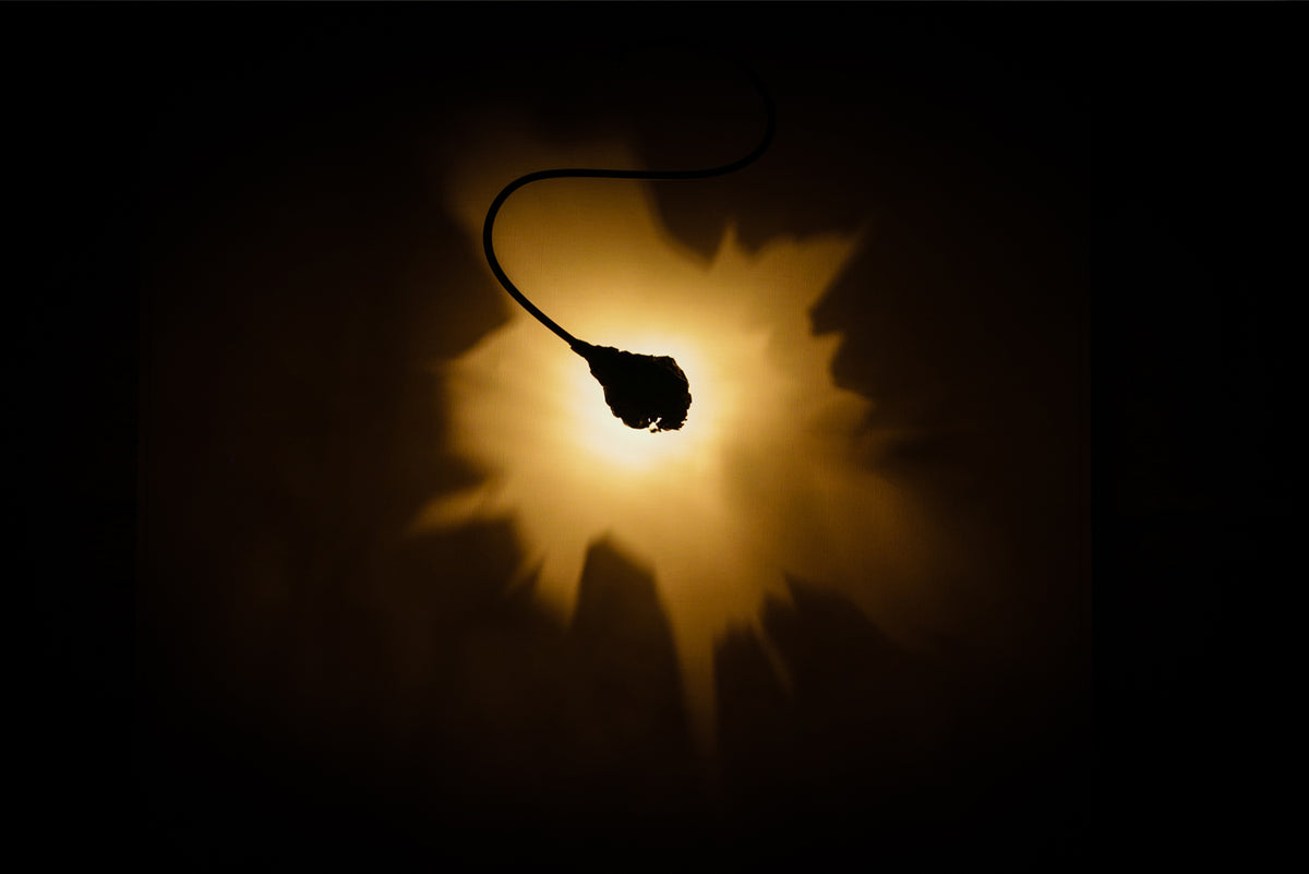 Kinkiet Luce che dipinge